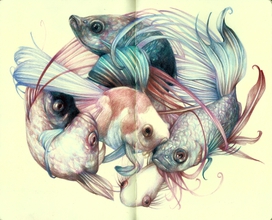 MARCO MAZZONI